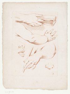 Compositie met armen, neus en deel van een gezicht door Jean Francois Janinet