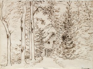 Pad door het bos naar een huis met rieten dak