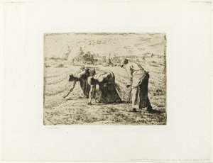 Boer met een kruiwagen