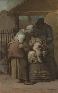 De schapenscheerders, 1857-61