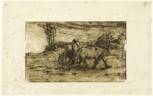 De twee koeien