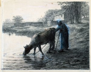Vrouw die haar Koe naar Water leidt