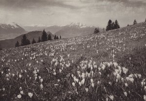 Rigi Kaltbad, Lente