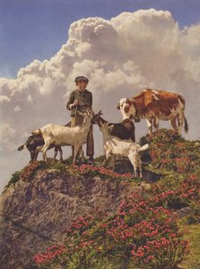 Zwitserland: Goede Vrienden