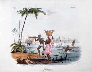Visser, 1828 door Jean Henri Marlet