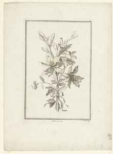 Boeket met lelie Belle de Jour IIe Cahier de Bouquets door Jean Jacques Avril (I)