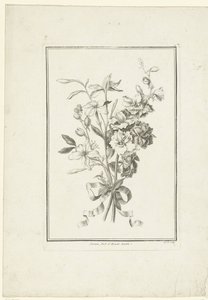 Boeket van jasmijn en ridderspoor (IIe Cahier de Bouquets) door Jean Jacques Avril (I)