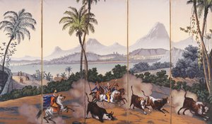 Gezichten van Brazilië door Jean Julien Deltil