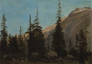 Alpenlandschap: De Handegg, Zwitserland