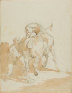 Staljongen verzorgt een paard