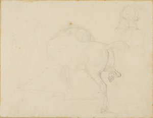 Studie van een paard dat zijn hoofd draait en zijn achterbeen optilt door Jean Louis André Théodore Géricault