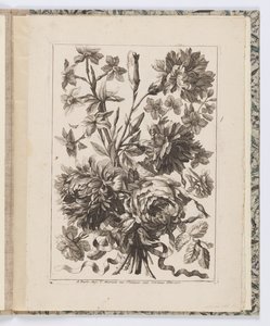 Bloemen