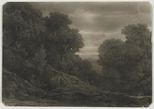 Landschap met Bomen