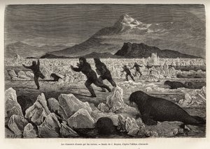 Een deel van de bemanning van het schip La Germania, op de Clavering-eilanden, afgedaald op het ijs om te jagen, werden zelf opgejaagd door walrussen die uit het water kwamen, gegraveerd naar de tekening van J.Moynet, ter illustratie van een reis naar de N