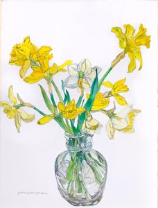 Narcissen in een vaas met smalle hals, 2006 (aquarel en inkt op papier)