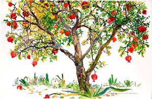 Granaatappelboom, Monte Sereno (aquarel en inkt op papier)