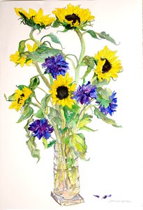 Zonnebloemen Bloemen