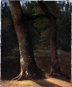 Studie van bomen, c.1815