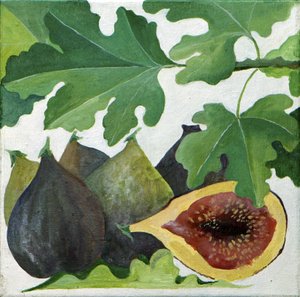 Vijgen, 2013 (acryl op doek)