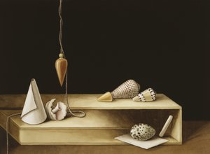 Optische illusie, 2005