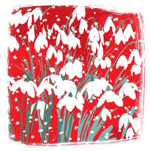 Sneeuwklokjes door Jenny Frean