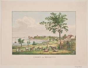 Uitzicht bij Bellevue