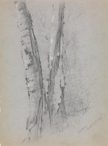 Studie van Berkenstammen door Jervis McEntee