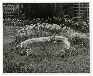 Tuin van de heer en mevrouw Wm H Wells, 265 W 11th St, New York, VS