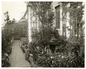 Tuin van mevrouw Regina Jais, ca. 1936-37 door Jessie Tarbox Beals