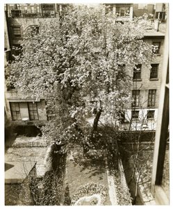 Mevrouw W H Wells 265 W 11th door Jessie Tarbox Beals