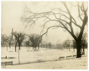 The Common, Boston, USA, ca. 1902-10 door Jessie Tarbox Beals