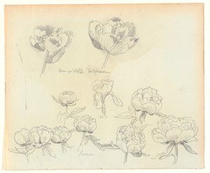 Bloemenstudies