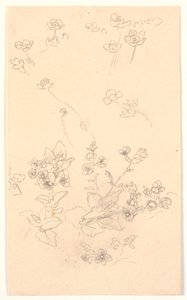 Bloemenstudies door Joakim Frederik Skovgaard