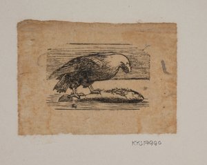 Een adelaar door Joakim Frederik Skovgaard
