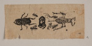 Insect door Joakim Frederik Skovgaard