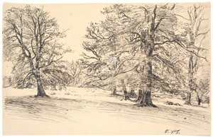 Licht hellend terrein met verspreide grote bomen door Joakim Frederik Skovgaard
