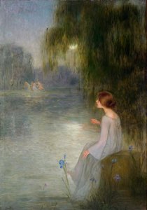 Droom door Joan Brull
