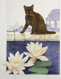 Birmaanse door Joan Freestone