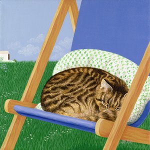 Cyperse kat slapend in een ligstoel