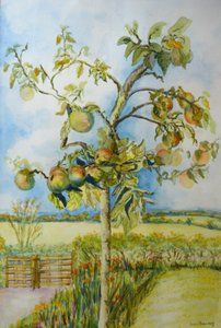 De appelboom door Joan Thewsey