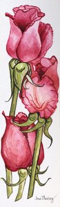 Drie rode rozen