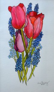 Tulpen, muscari en vergeet-me-nietjes, 2002 door Joan Thewsey