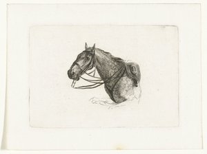Paardenhoofd naar links door Joannes Bemme