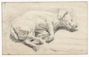 Liggende hond, slapend