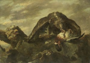 Adelaars op de kliffen