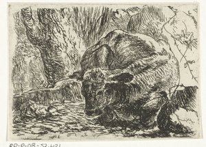 Koe (Dieren)