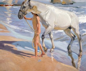 Het bad van het paard