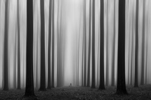 Mistig bospad door Jochen Bongaerts