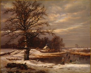Deense winterlandschap