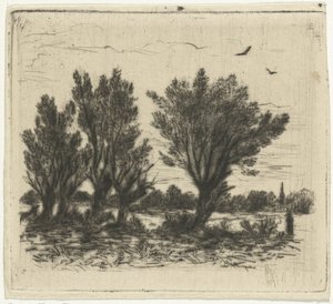 Wilgenrij door Johan Frederik Croockewit